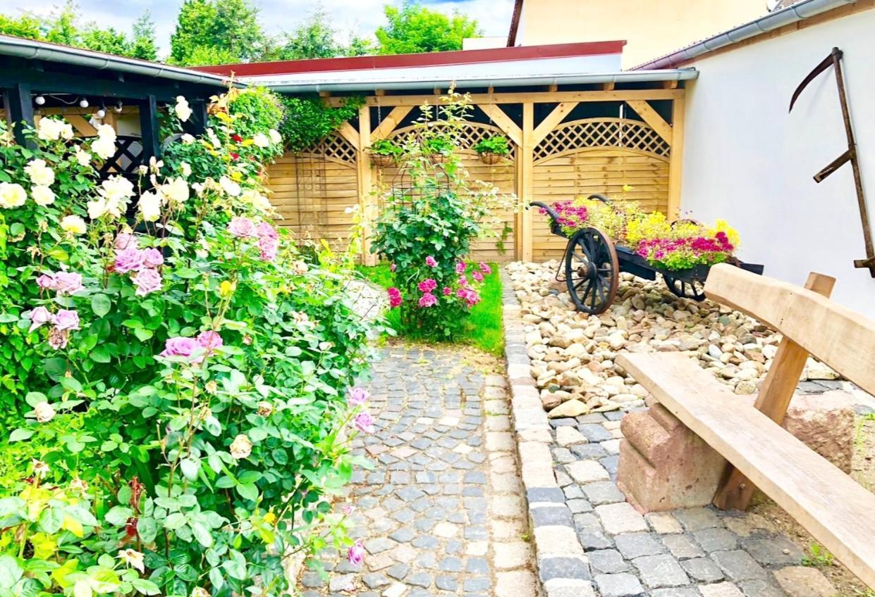 Ferienwohnungen Grimma 1 Exterior photo